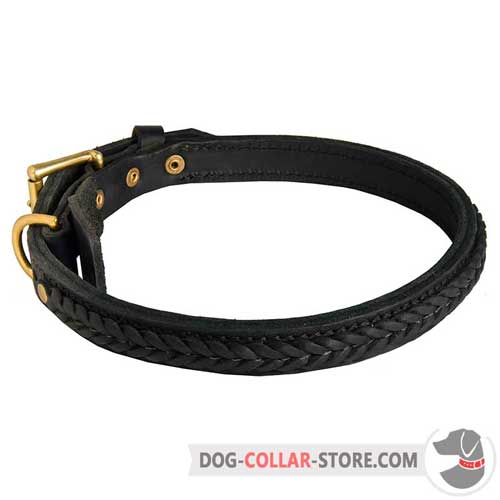 Braided Two Ply Leather Dog Collar for Walking in Style