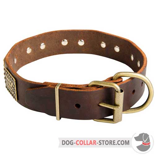 Vintage Leather Dog Collar with Rust Proof Brass Hardware
