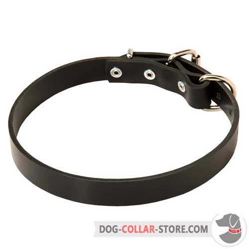 Classic Designer Leather Dog Collar for Comfortable Walking