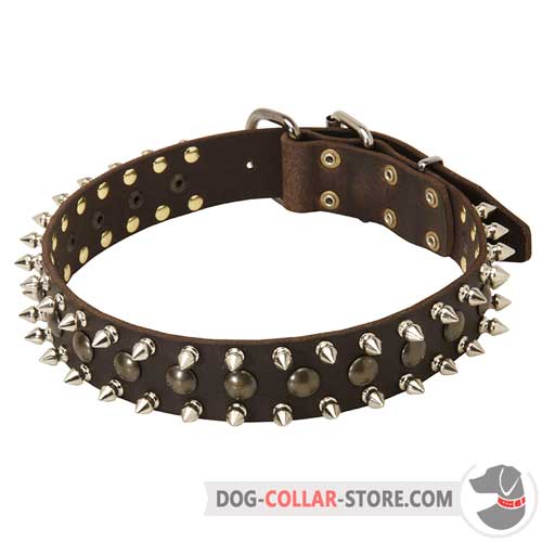 Walking Leather Dog Collar Adorned with Spikes and Studs