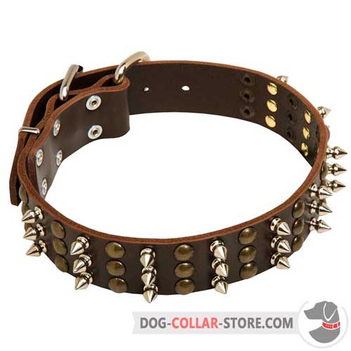 Decorated Leather Dog Collar for Safe Walking