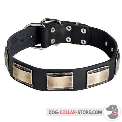 Hand-Decorated Leather Dog Collar for Daily Walking with Plates