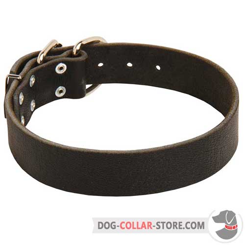 Classic Design Wide Leather Dog Collar for Comfortable Walking