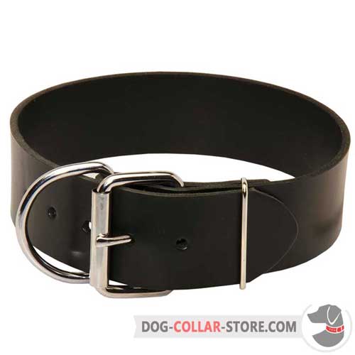 Extra Wide Leather Dog Collar with Nickel Plated Buckle