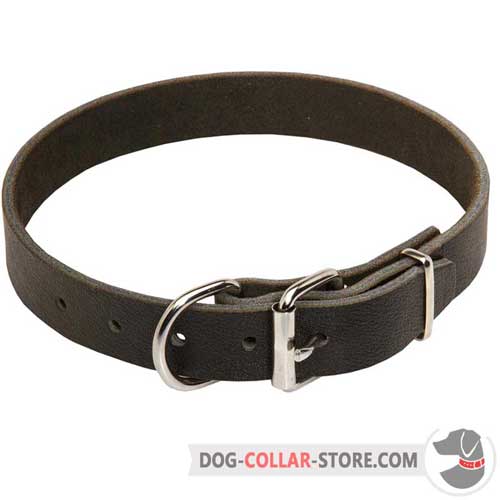 Leather Dog Collar with Nickel Plated Buckle