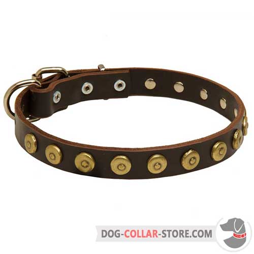 Fashion Leather Dog Collar with Goldish Brass Dotted Circles