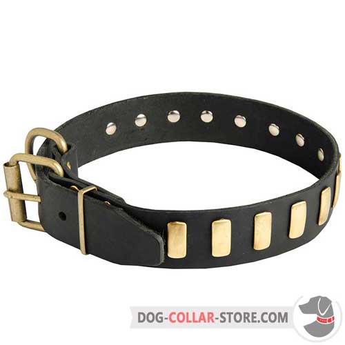 Handcrafted Leather Dog Collar with Brass Fittings and Decoration