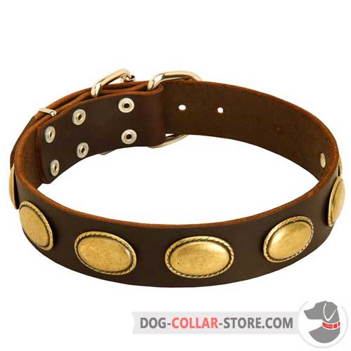 Leather Dog Collar with Massive Oval Brass Plates
