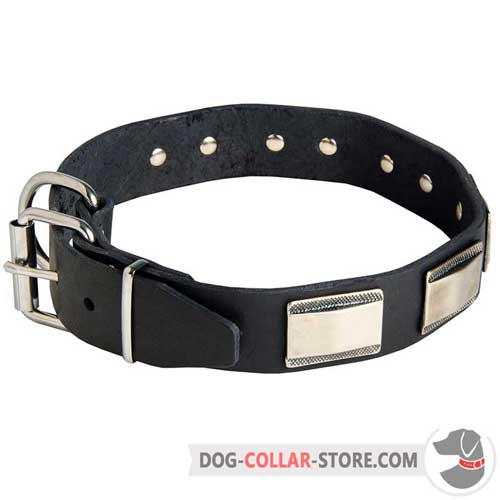 Wide Leather Dog Collar with Strong Nickel-Plated Fittings