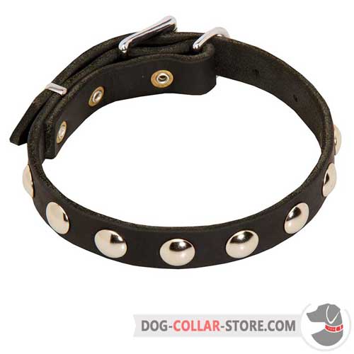 Elegant Leather Dog Collar with Half Ball Nickel Studs