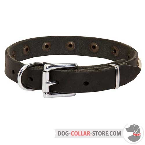 Durable Leather Dog Collar with Nickel Plated Fittings
