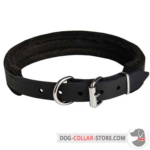 Padded Leather Dog Collar with Reliable Nickel Plated Hardware