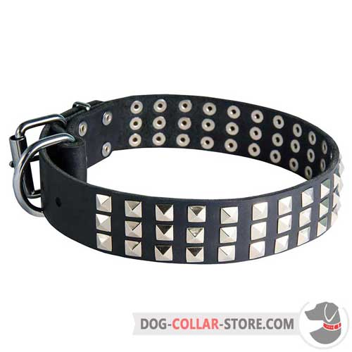 Leather Dog Collar Adorned with Nickel Plated Pyramids