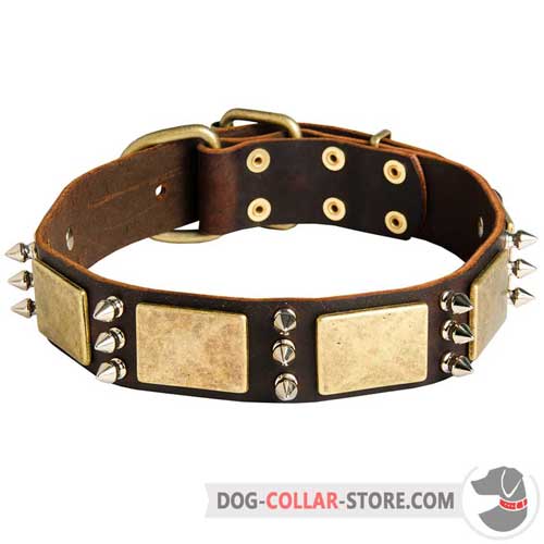 Leather Dog Collar Adorned with Brass Plates and Nickel Spikes