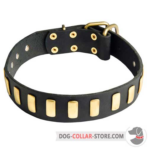 Stylish Leather Dog Collar with Vertical Brass Plates