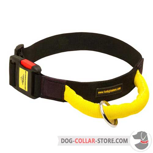 Nylon Dog Collar with Convenient Handle for Better Canine Control