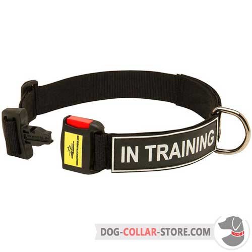 Nylon Dog Collar with Patches for Identification
