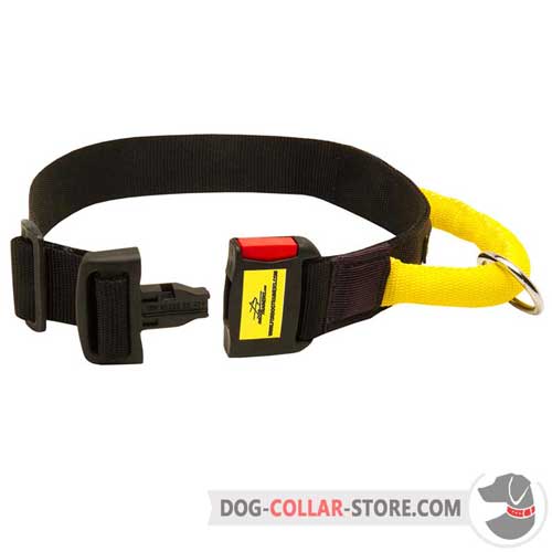 Nylon Dog Collar Easily Adjustable with Buckle