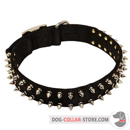Durable Training Nylon Dog Collar with Spikes