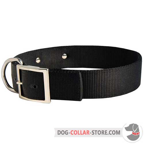 Nylon Dog Collar with Nickel Plated Buckle