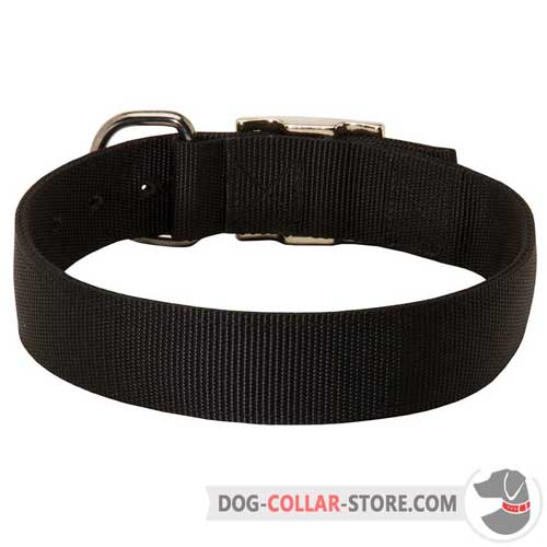 Wide Walking Nylon Dog Collar