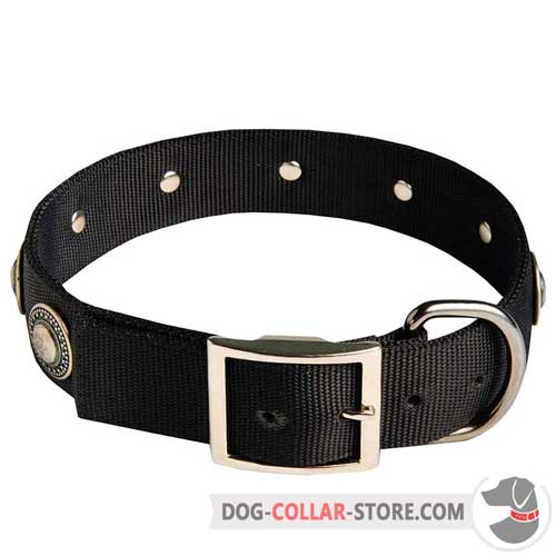 Wide Nylon Dog Collar with Decorations