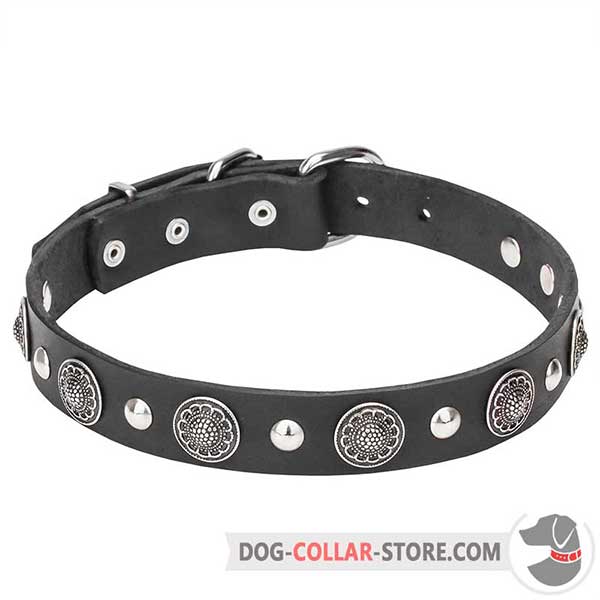 Leather Dog Collar with chrome plates and studs