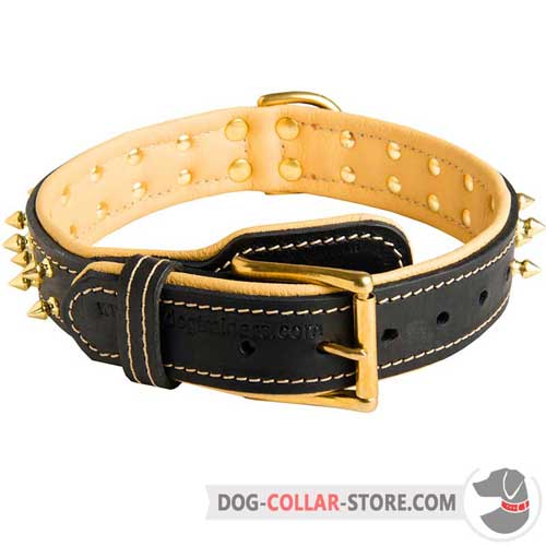 Spiked Design Padded Leather Dog Collar with Brass Buckle