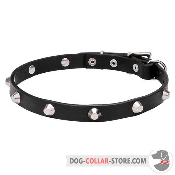Dog Collar, wide range of sizes