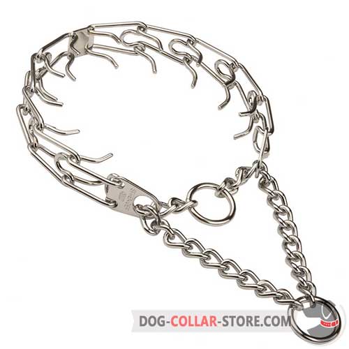 Chrome Plated Dog Pinch Collar
