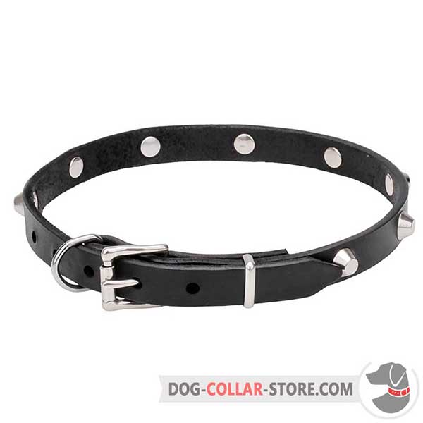 Dog Collar with chrome hardware and fittings