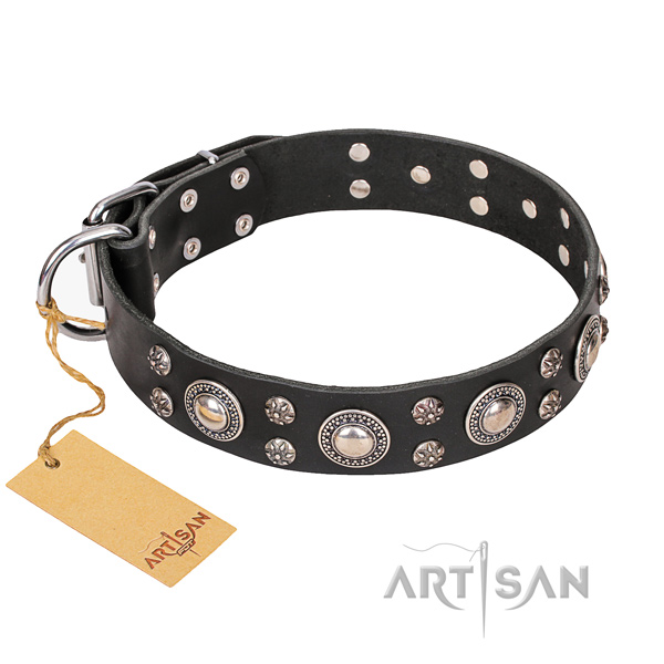 Dependable leather dog collar with reliable hardware