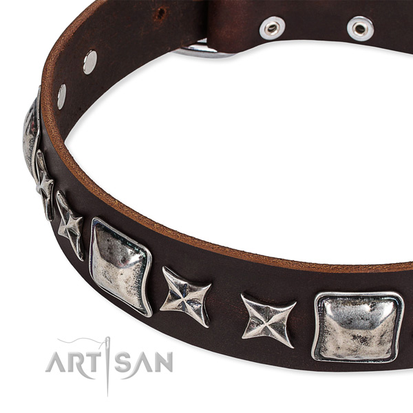Natural genuine leather dog collar with adornments for handy use