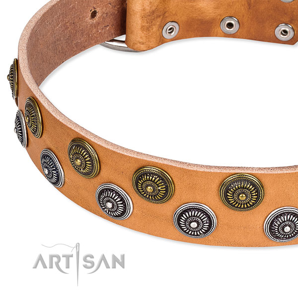 Genuine leather dog collar with inimitable embellishments
