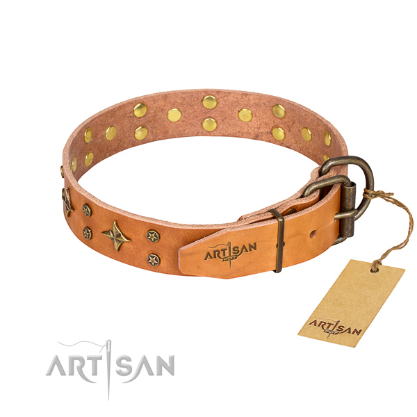 Walking full grain genuine leather collar with studs for your four-legged friend