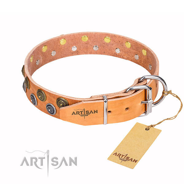 Everyday walking full grain genuine leather collar with adornments for your canine