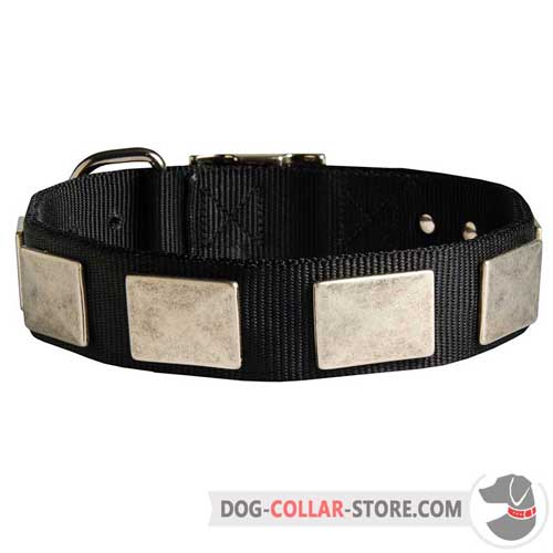 Dog Collar Decorated with Vintage Style Silver Color Plates