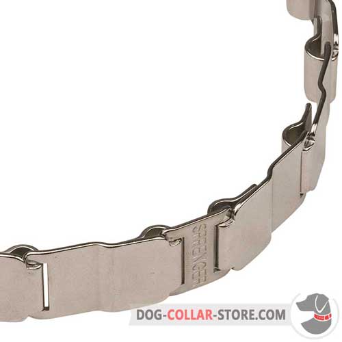 Strong Links on Stainless Steel Dog Pinch Collar
