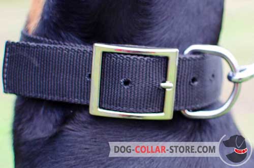 Reliable Nickel Plated Buckle on Nylon Dog Collar 
