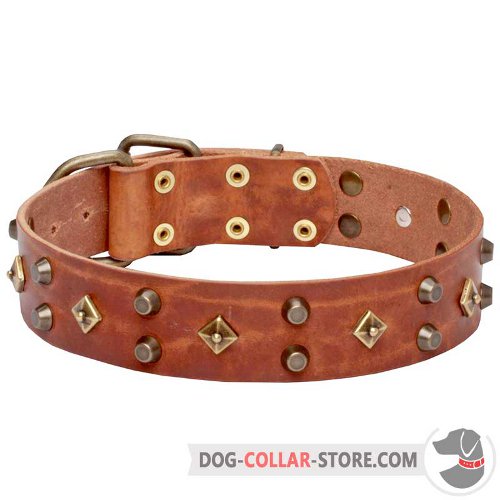 Leather Dog Collar designed for comfortable walking