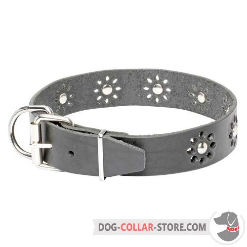 Leather Dog Collar of modern design
