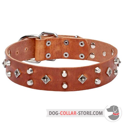 Leather Dog Collar designed for walking and easy training