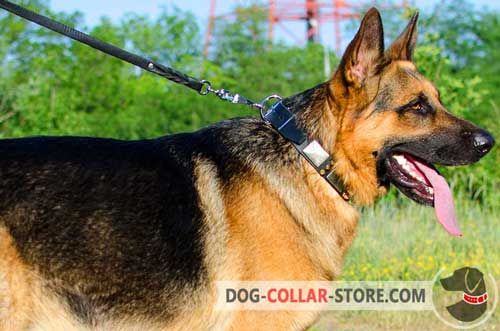 Cool Leather German Shepherd Collar With Nickel Plates And Brass Spikes