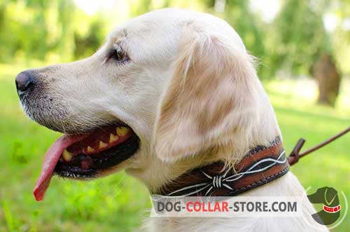 Designer Leather Golden Retriever Collar with Painted Barbed Wire