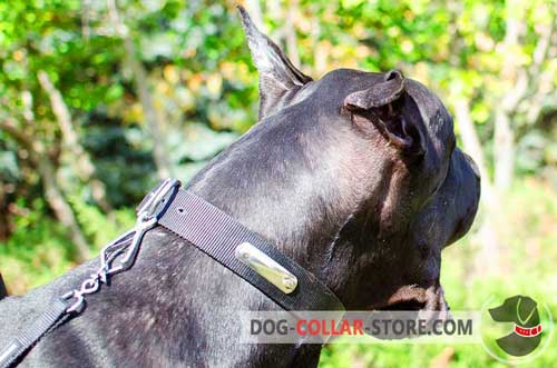 Extra Strong Nylon Great Dane Collar with Metal ID Tag