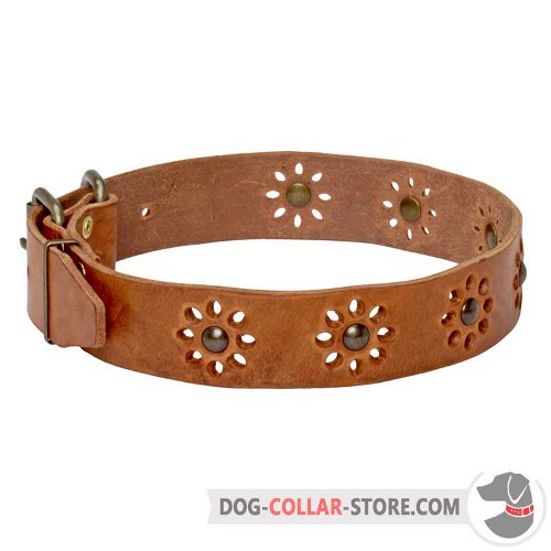 Leather Dog Collar of feshionable design
