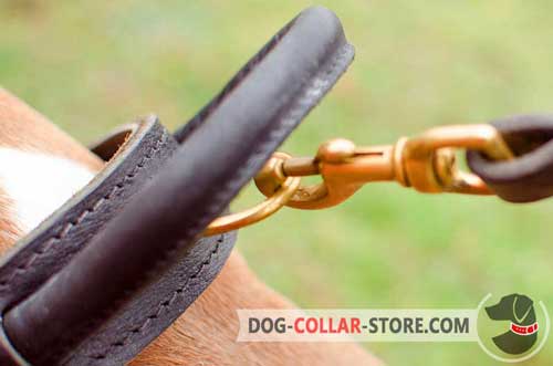 Round Handle and Brass-plated D-ring on Training Leather Dog Collar