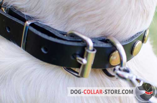 Strong Nickel Plated Hardware On Leather Dog Collar