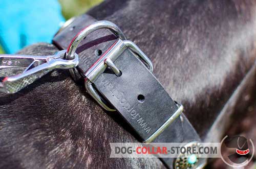 Reliable Nickel Plated Hardware on Decorated Leather Dog Collar