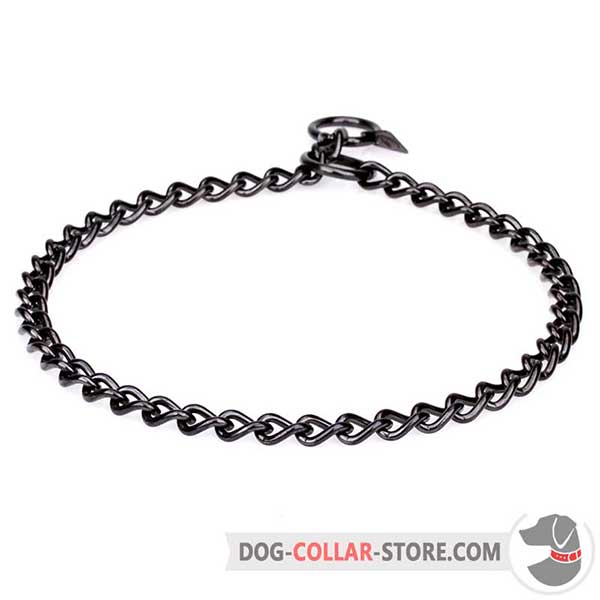 Dog Stainless Steel Choke Collar in stylish black